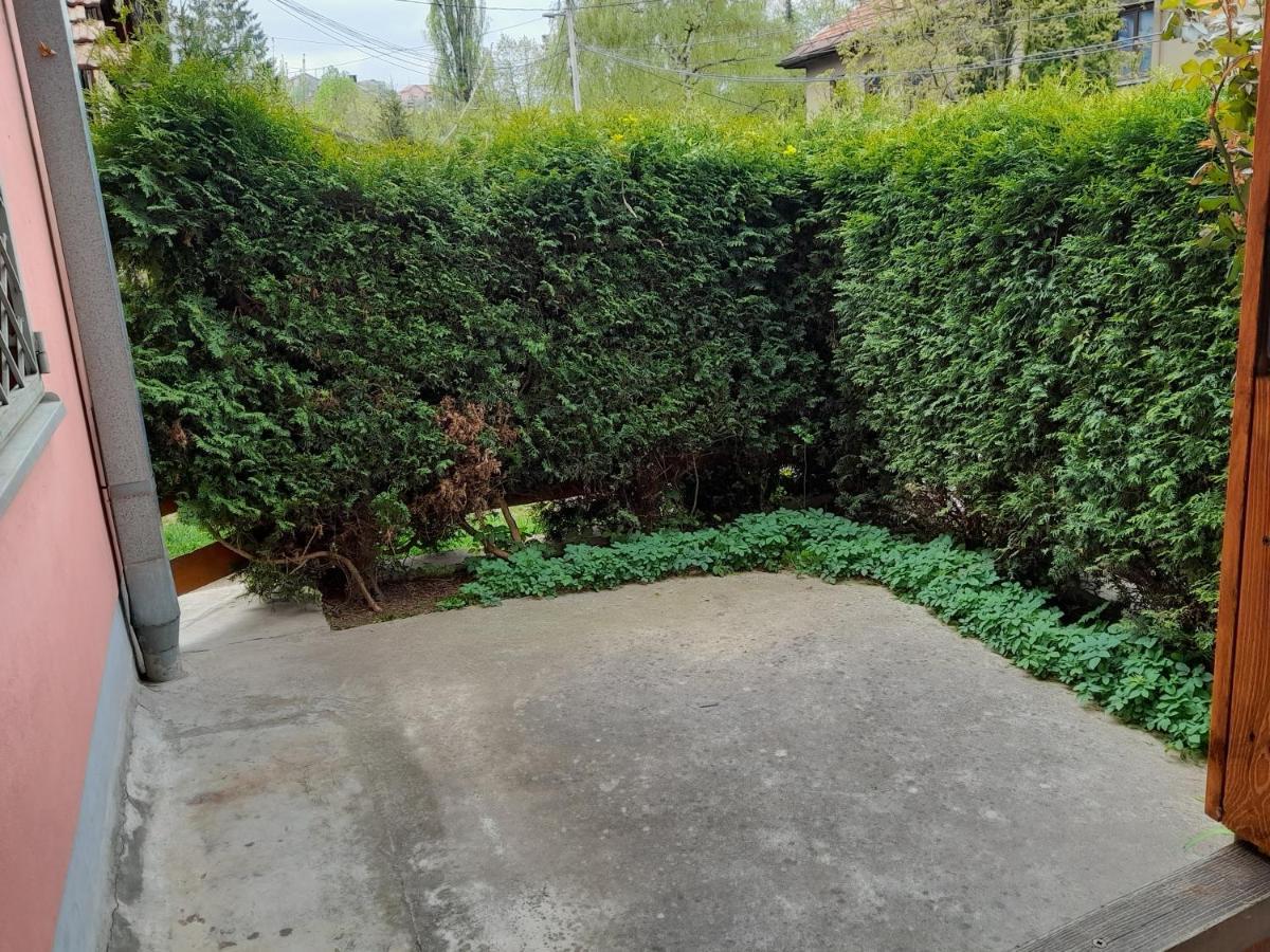 Pine Tree Apartment Sarajevo Luaran gambar