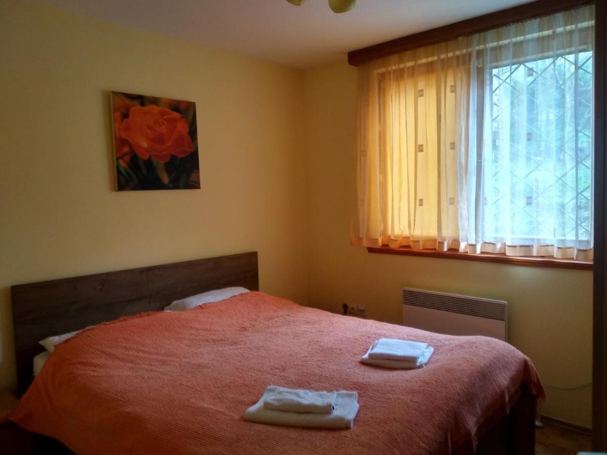 Pine Tree Apartment Sarajevo Luaran gambar